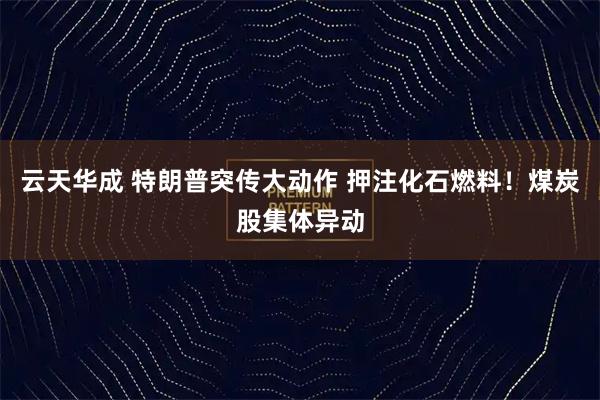 云天华成 特朗普突传大动作 押注化石燃料！煤炭股集体异动